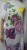 DSCN5218.JPG