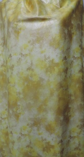 DSCN6546.JPG