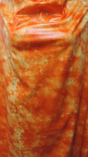 DSCN6567.JPG