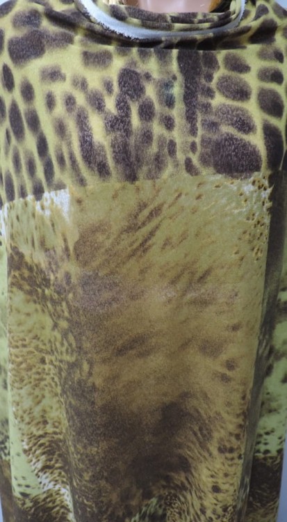 DSCN6895.JPG