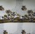 DSCN7168.JPG
