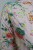 DSCN8025.JPG