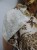 DSCN9456.JPG