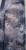 DSCN9537.JPG