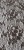 187740612_378427846840404_5574560236599371718_n.jpg