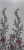 189752089_826032414707747_2856961379226479157_n.jpg