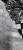 191153960_528440318169579_4167516774205603911_n.jpg