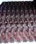 DSCN4317.JPG