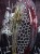 DSCN4387.JPG