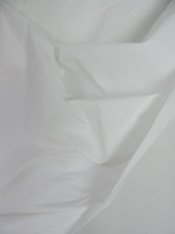 DSCN6168.JPG