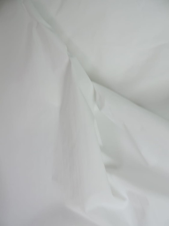 DSCN6169.JPG