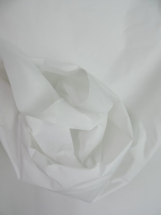 DSCN6173.JPG