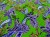 DSCN8307.JPG