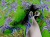 DSCN8309.JPG