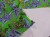 DSCN8315.JPG