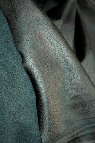 IMG_1164.JPG