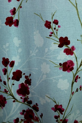 IMG_6466.JPG