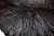 IMG_5170.JPG