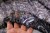 IMG_5000.JPG