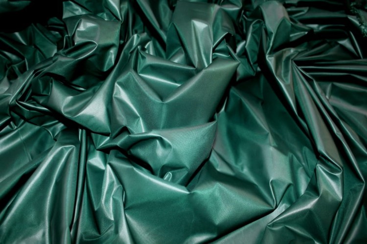 IMG_9929.JPG