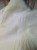 DSCN8160.JPG