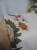 DSCN0041.JPG