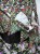 DSCN7955.JPG