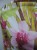 DSCN8313.JPG