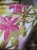 DSCN8314.JPG