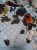 DSCN8509.JPG