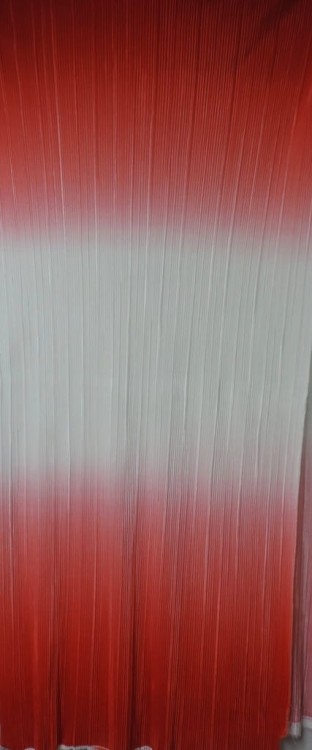 DSCN8679.JPG