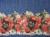 DSCN9221.JPG