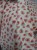 DSCN9595.JPG
